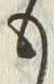 𡨸も
