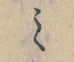 位置定マレル𛃉