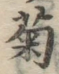 글자 菊
