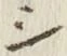 글자 シ