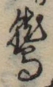 鷲 위치 확인됨