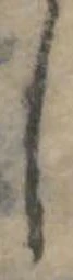 𛁅 위치 확인됨