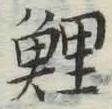字鯉