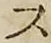 字ス