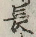 長 위치 확인됨