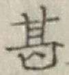 글자 甚