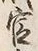 Chữ 官