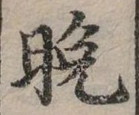 位置定マレル晚