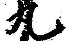 已定位丸