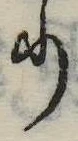 𛃲の位置