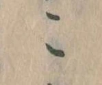 こ 위치 확인됨