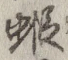 位置 確認된 蝦