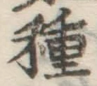 글자 種