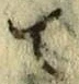 字て