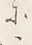 글자 に
