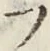 글자 フ