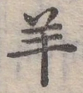 羊 위치 확인됨