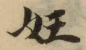 妊の位置