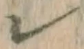 字レ