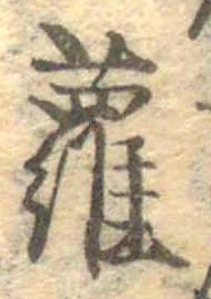 蘿 위치 확인됨