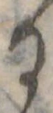 位置定マレル𛃻