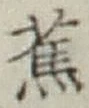 字蕉
