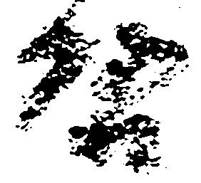 Located 啓