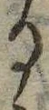 位置 確認된 𛃻