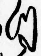 位置定マレル未定