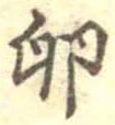 位置 確認된 卵