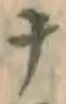 文字ナ