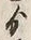文字ゟ