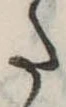 𛁠の位置
