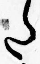 Đã định vị 𛁠