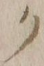 “ク”字