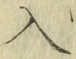 字入