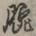 Đã định vị 腕
