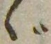 Đã định vị ゞ