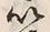 文字以