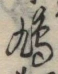 鳩 위치 확인됨
