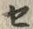 文字セ