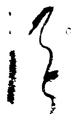 Đã định vị 謹