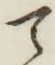 字て