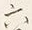 글자 六