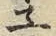字ネ