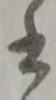 書 위치 확인됨