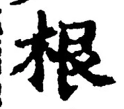 글자 根
