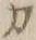 “カ”字