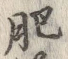 Đã định vị 肥