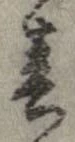 位置 確認된 春